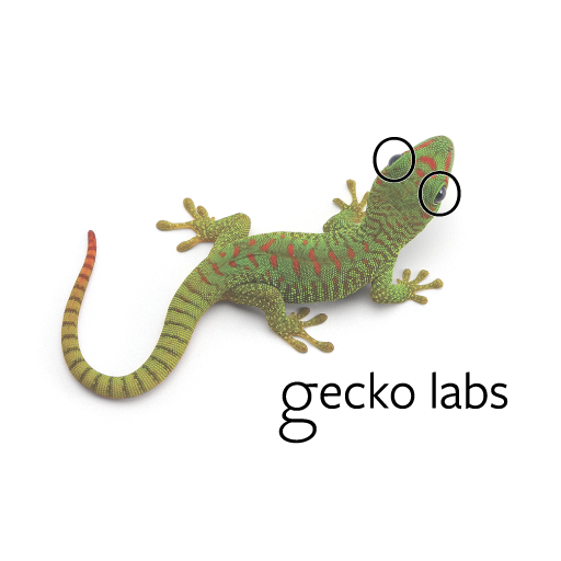 Gecko Labs - Dental Laboratory